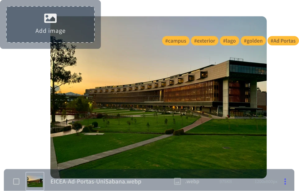 Griddo asset manager with an image automatically tagged by AI Booster