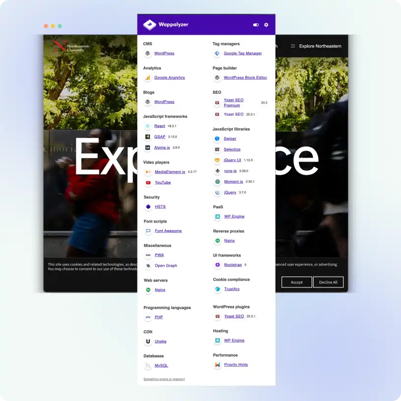 WordPress hidden costs